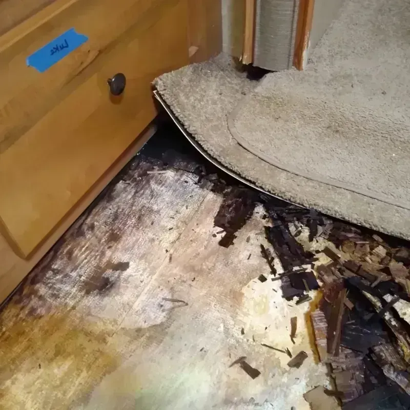 Best Wood Floor Water Damage Service in Wayne, IL